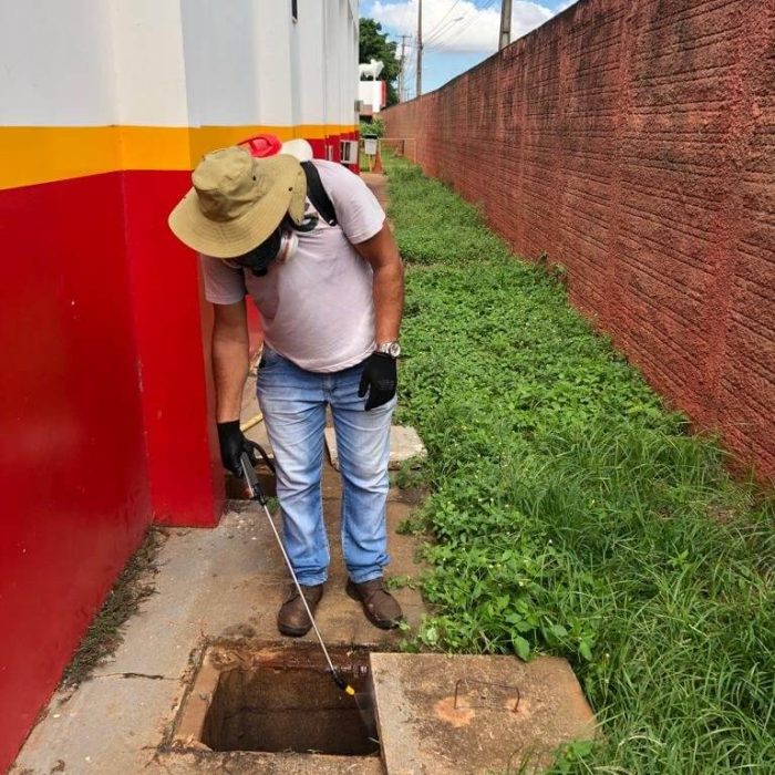 Dedetizadora em Maringá